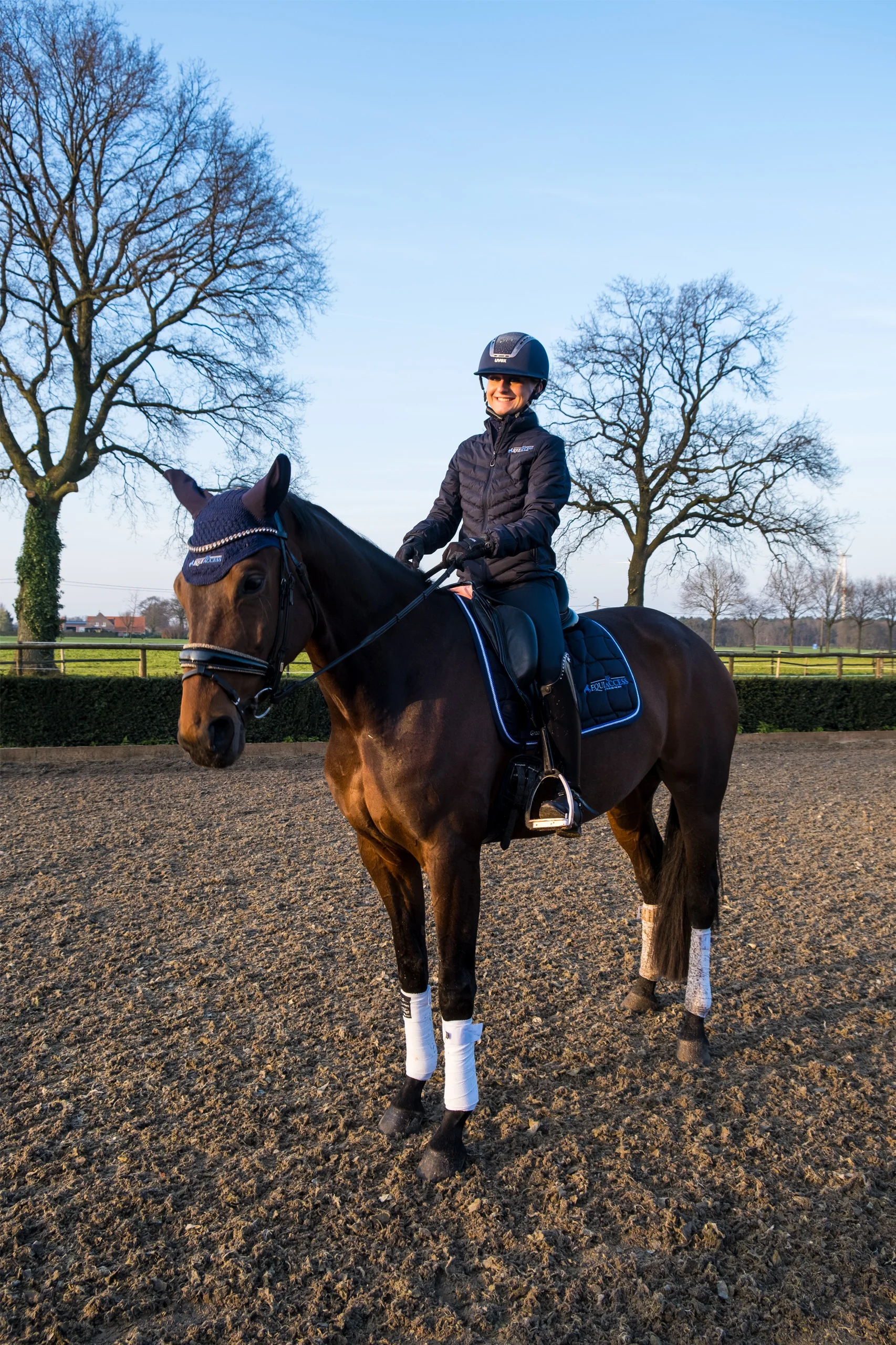 Photoshoot Horses